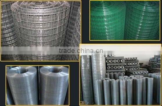 galvanized wire mesh(factory)