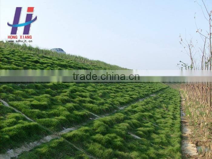 Coconut blanket coir fiber highest quality and Coir Products