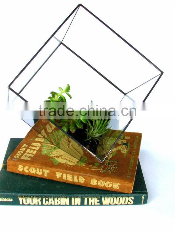 Tabletop Minimalist Decorate Geometric Cube Glass Terrarium