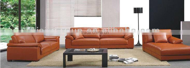 Bisini European Style Modern Living Room Sofa Set (BG90494)