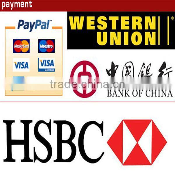 Wholesale polyester white v-neck padded women's hoodie