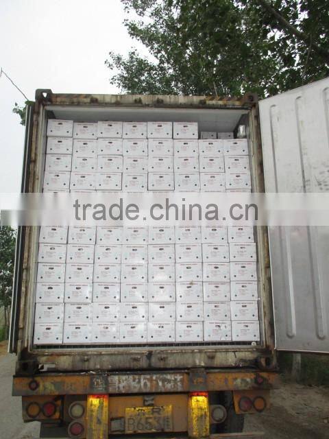 Chinese Fresh Normal White Garlic New Crop 2016 Top Quality