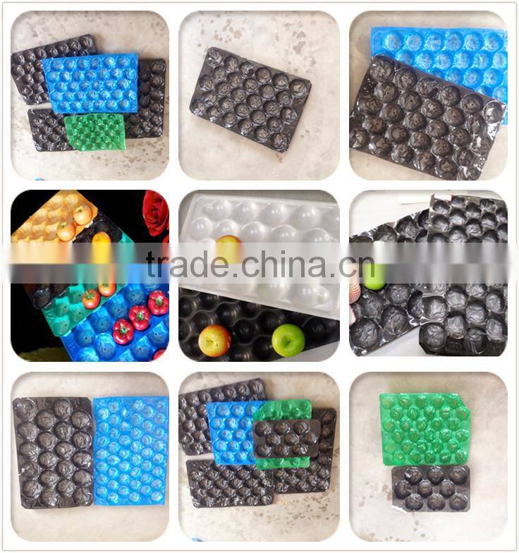 Custom Wholesale Fruit Plastic Stacking Tray