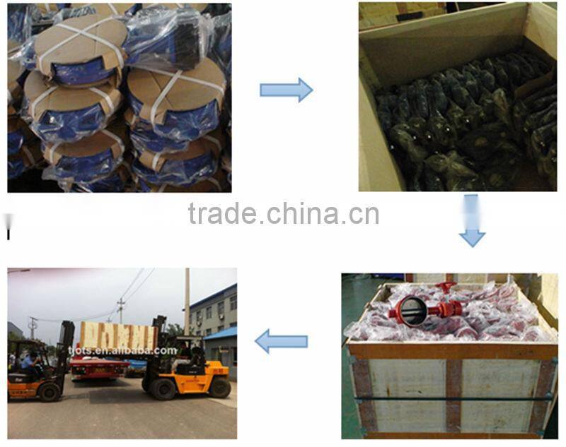 GV-DS009 API/DINflange end DN50-300mm Ductile iron diaphragm valve