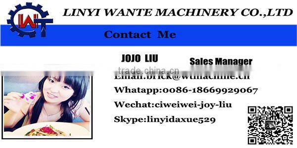 WANTE MACHINERY QT10-15 russia compressed earth brick block machine