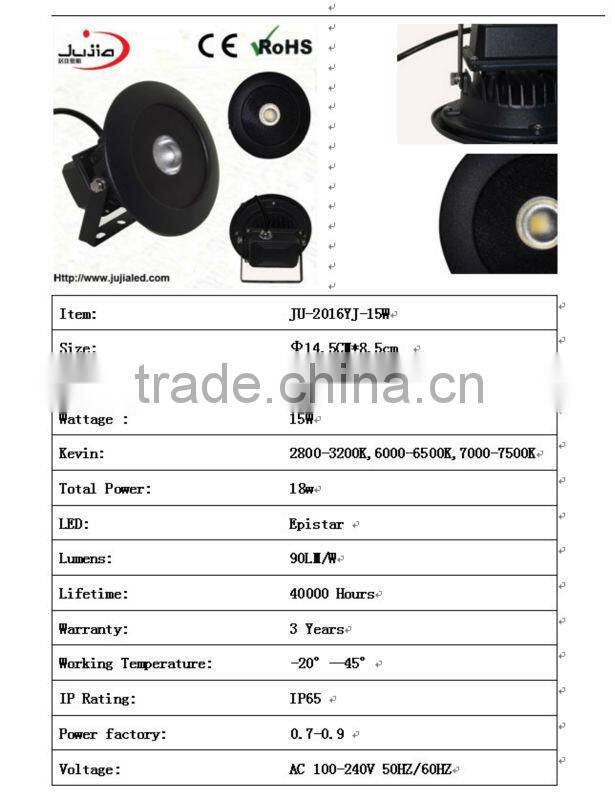 new flood light,High Quality 15W COB IP65 Outdoor LED Flood Light,cob led floodlighting