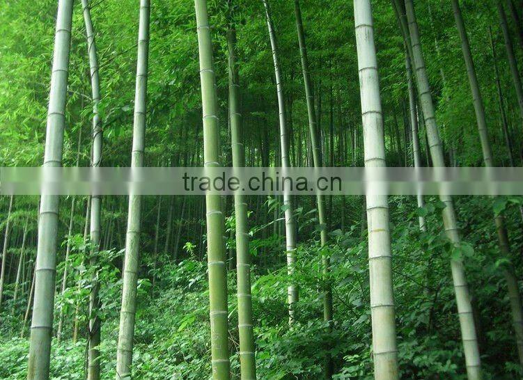 stained bamboo stranded bamboo flooring