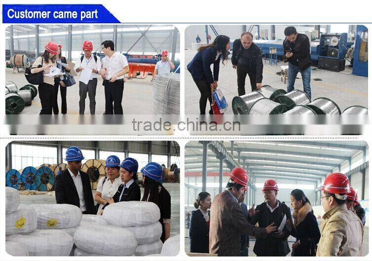 building electrical cable single core strander copper wire BV/BVR electrical wires