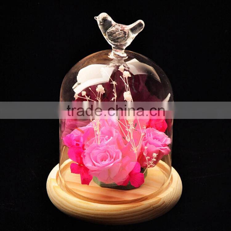 glass bell dome with wood