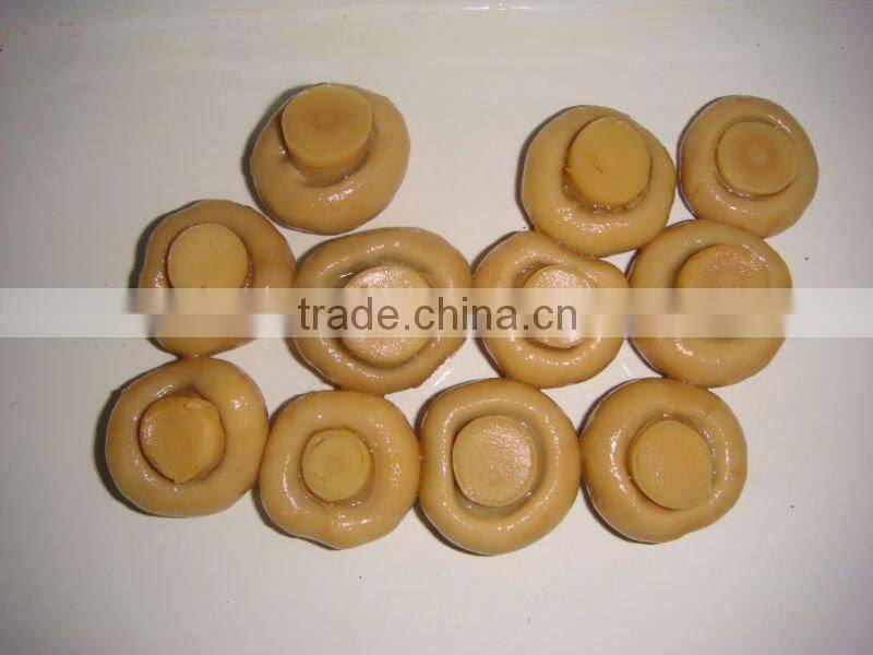 Canned Whole Mushroom Min.