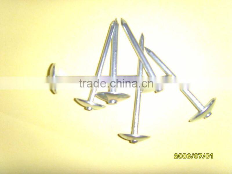 Galvanized roofing nails with umbrella head to African Market