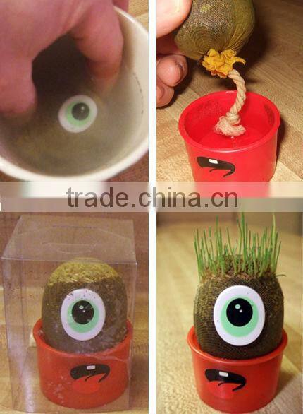 DIY grass head dolls plants for birthday gift
