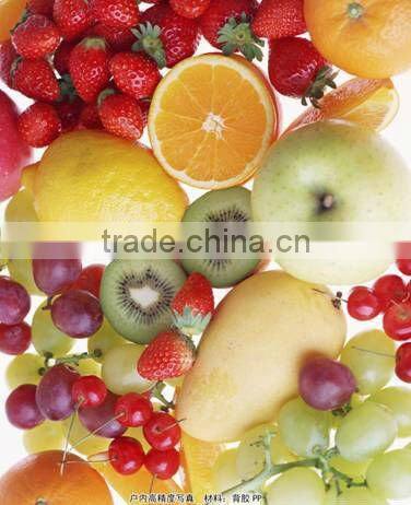 Shanghai Supplier self adhesive PP paper matte coated for dye ink