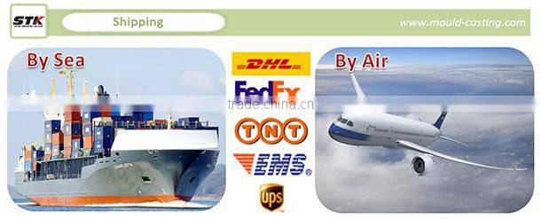 High Progressive Metal Stamping Punching Mold/Die