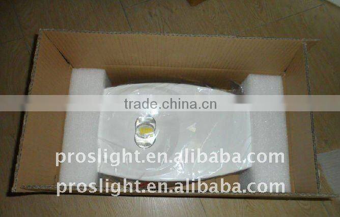 100w cob led outdoor luminaire landscape lighting