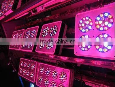 best selling low and high watt power par20 par30 par38 global bulb led plant grow light red plus blue full spectrum grow light