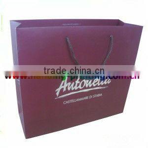 Suppy custom paper bag 2013