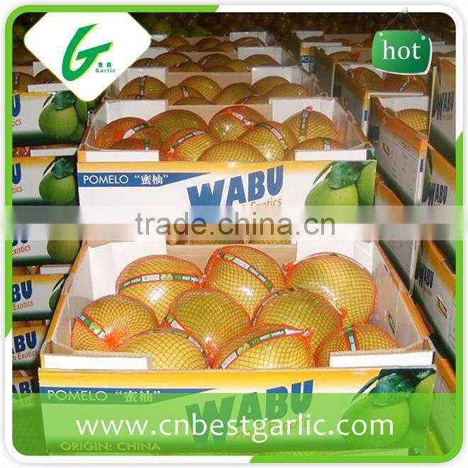Fresh sweet honey pomelo in box