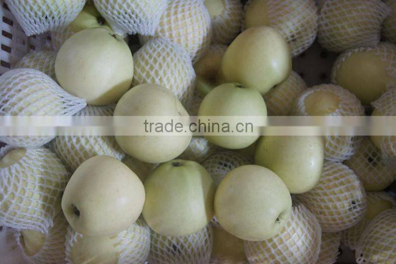 new golden delicious apples