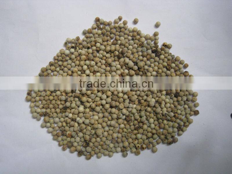 VIETNAM WHITE PEPPER (skype & yahoo: visimex08)