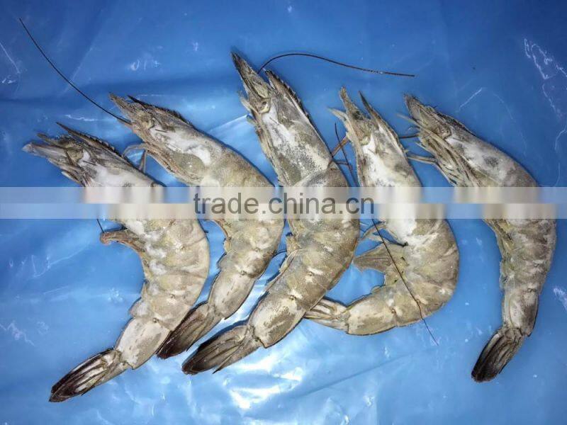 Frozen vannamei shrimp price