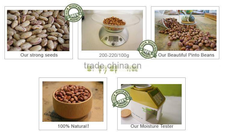 Edible Light Speckled Kidney Beans For Canning