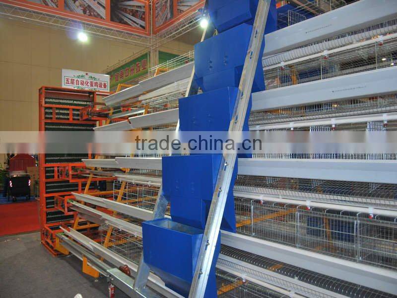 Automatic Chicken Feeding System