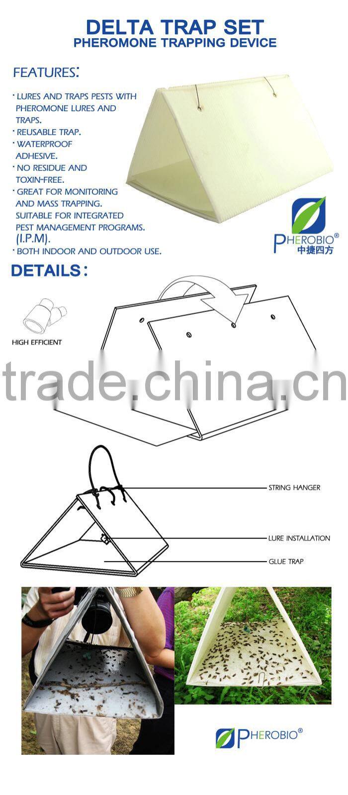 Pheromone Lure for Tryporyza incertulas and trap set