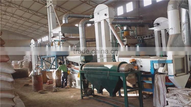 grain seed bean cleaning plant