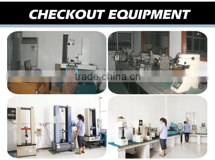 CE GS Elastic Tie Down belt ratchet tie down metal ratchet strap cheap ratchet straps