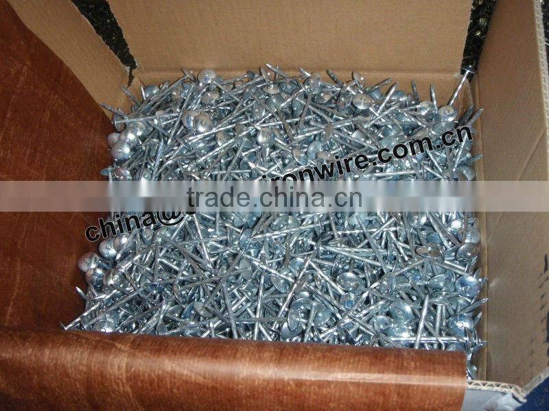Galvanized Umbrella Head Roofing Nails