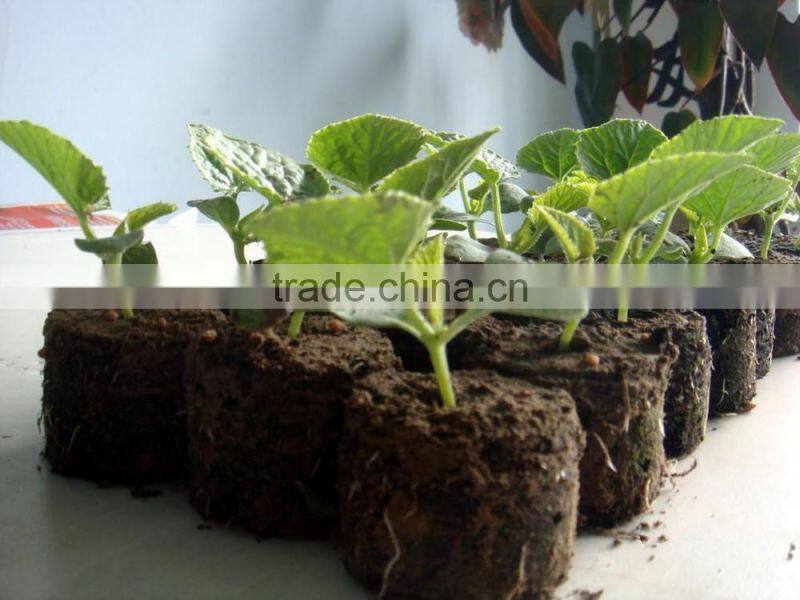 Flower and tree seeding tray