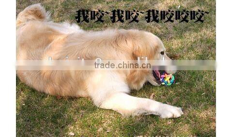 CY188 For Small Dog Toys Product For Dog Colorful Rubber Dog Toy Ball, Pet Dog Toys With Bell For Small Medium Large Dog