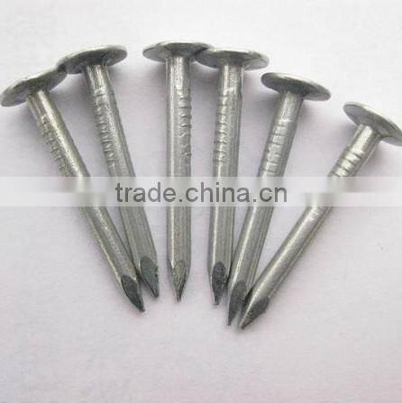 Galvanized clout nails /roofing nails flat head