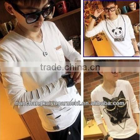 2013 New Stylish Men's Korean National Style Long Sleeve T-shirt In Slim Design