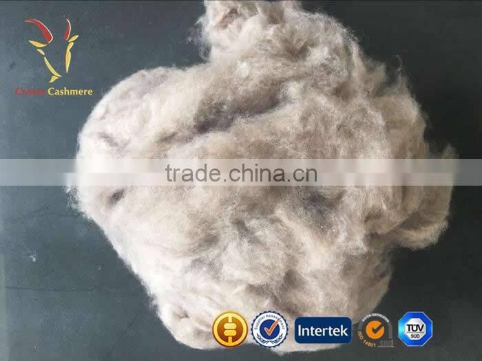 Factory Supply Raw Cashmere Fiber China for Sale