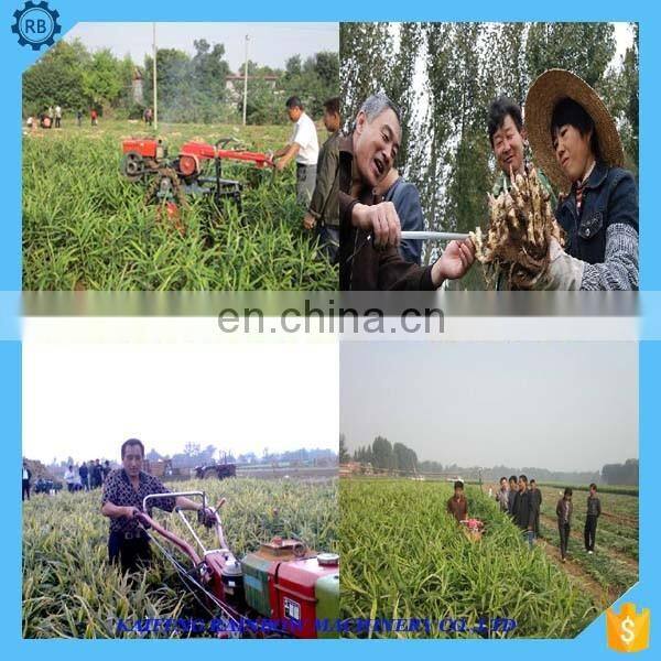 Top Level Quality Gingembre Crop Machine/Equipment/Gingembre Cropper