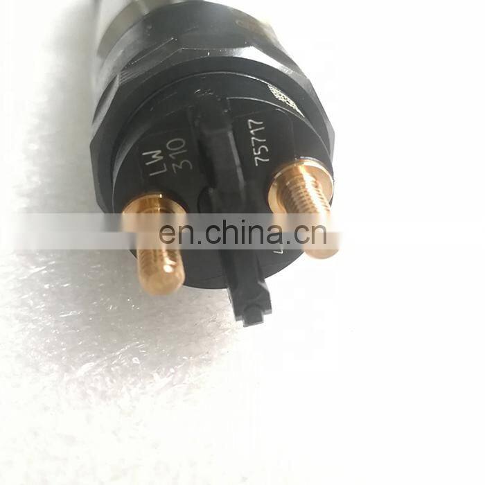 Diesel Fuel Injector 0445120106 D5010222526 0445120310