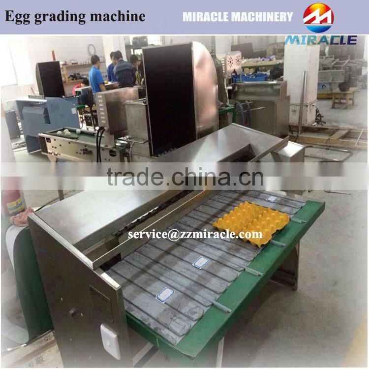 Egg washing and grader machine, chicken egg drying and coding machines, goose eggs weight grading sorter machine