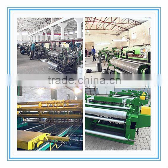 PVC Coated or Galvanized Welded Wire Mesh