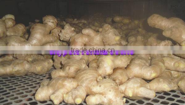 2014 New Crop Air Dried Ginger Lowest Price