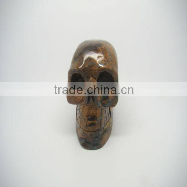 skull model human for sale