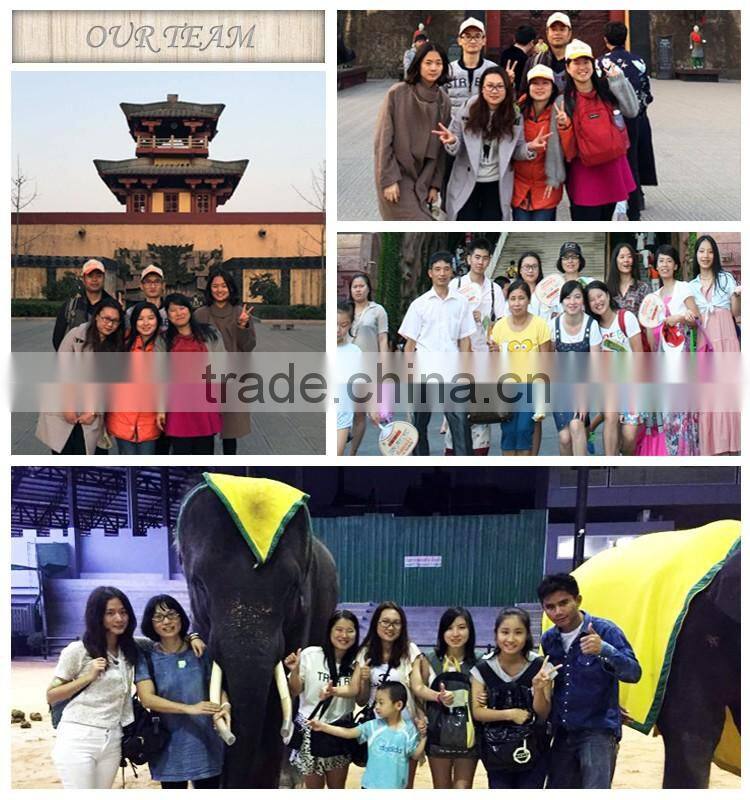 Hot Selling Wooden Wall Hanging Picture Frame,Decorative Removing Photo Frame