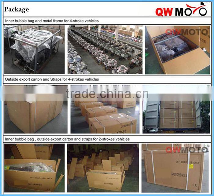 Nice Design Kids Mini Motor 800W Mini Quad, Electric ATV for kids / QWMATV-01A