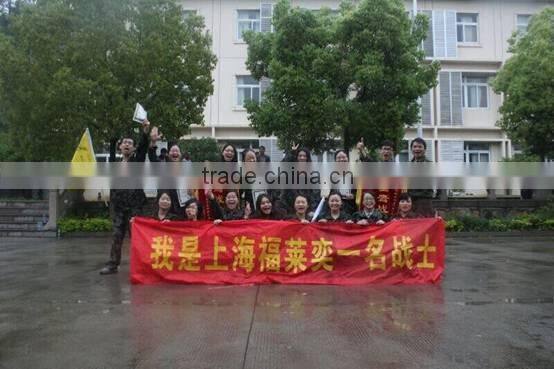 FLY China supplier silk fabric for indoor use, decoration fabric, digital printing canvas, made in china