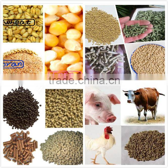 ISO 9001 certified animal feed pellet making machine