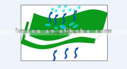 Waterproof Membrane for Roof Building Membrane PE Membrane for Roof