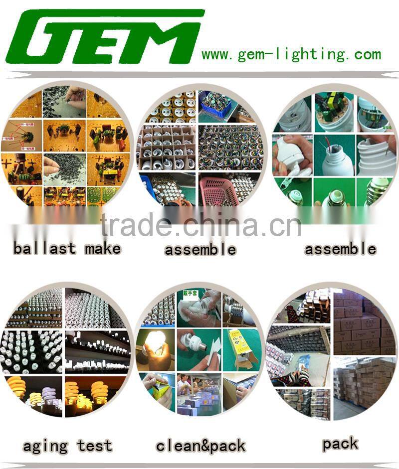 CFL Lamp 65W/ 85W, Garden Light With CE