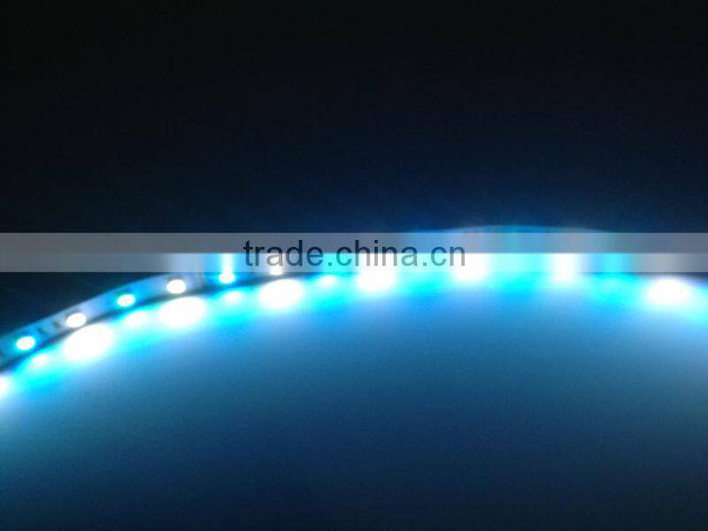 RGBW Double Row SMD5050 SMD3528 Waterproof Led Strip Light