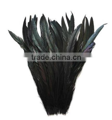 Natural rooster tail feathers 30-35 cm